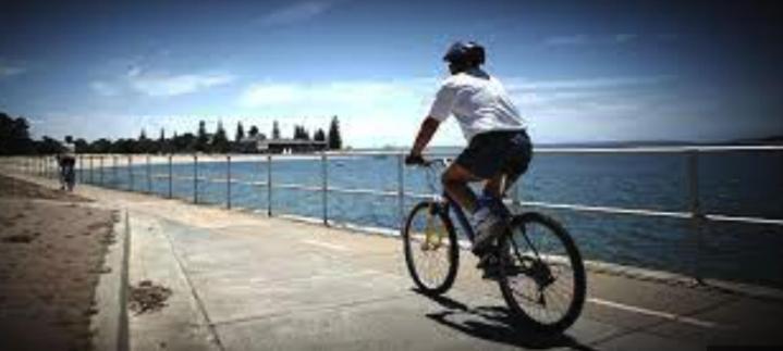Sunny 2 Bed Restaurants Beach At Door Pets O.K Sydney Eksteriør bilde