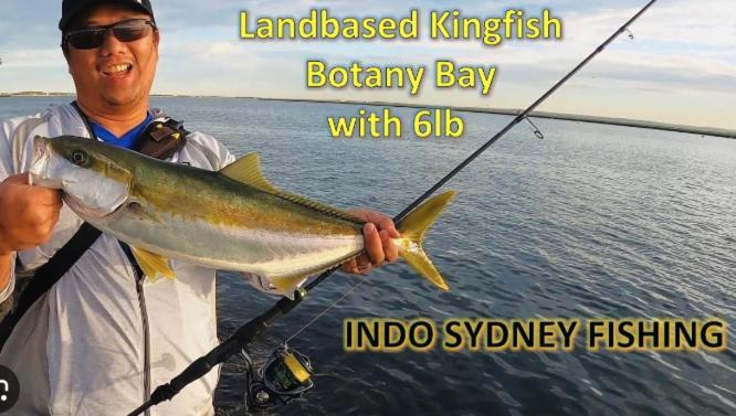 Sunny 2 Bed Restaurants Beach At Door Pets O.K Sydney Eksteriør bilde